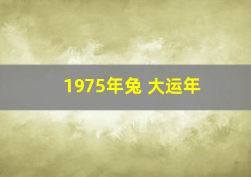 1975年兔 大运年